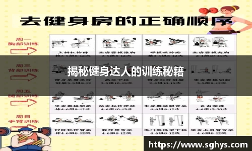 揭秘健身达人的训练秘籍