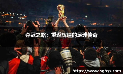 夺冠之路：重返辉煌的足球传奇
