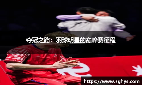 夺冠之路：羽球明星的巅峰赛征程